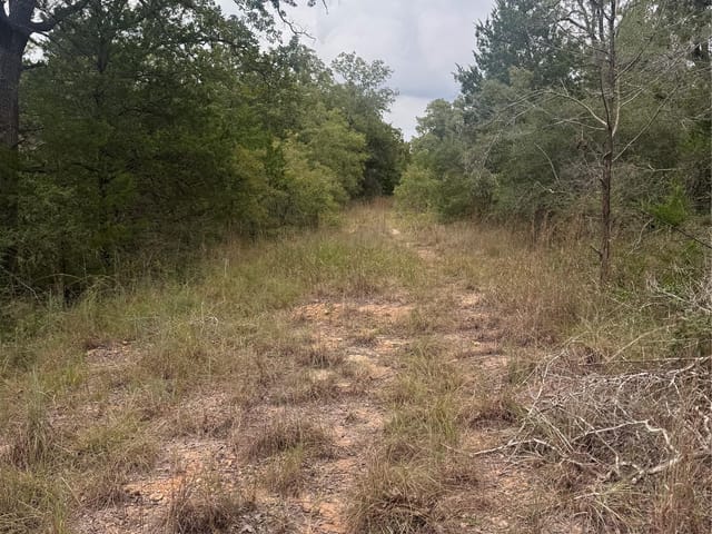 Lot 6 Spruce St