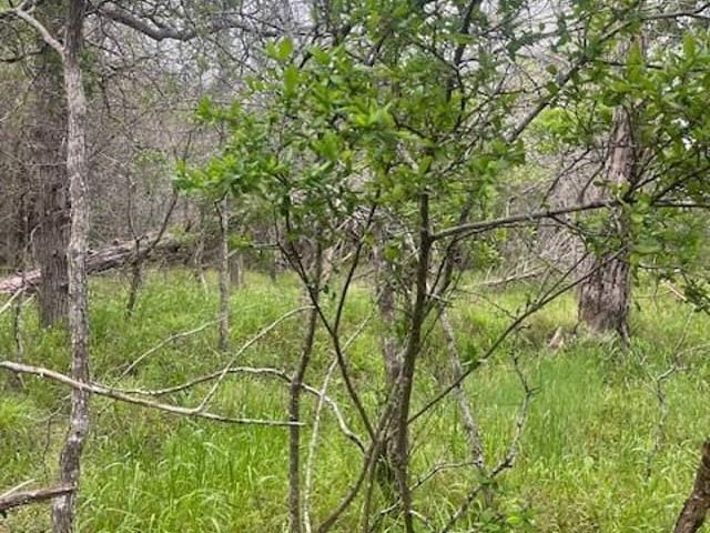 Lot 628 Hilea Ct