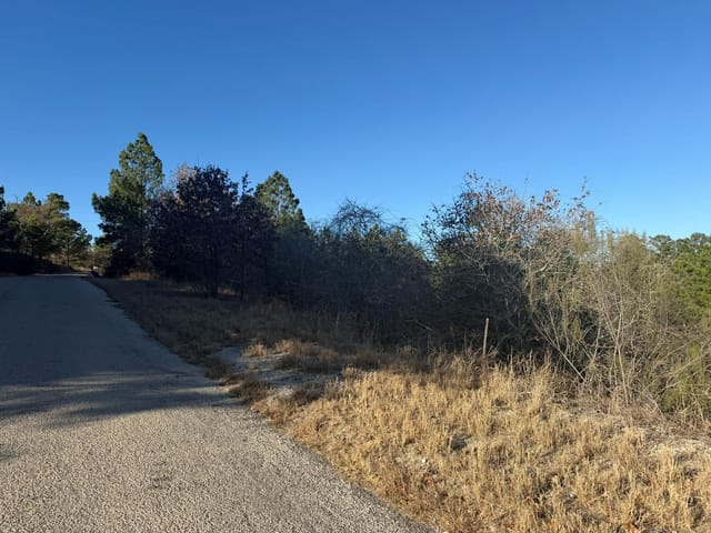 Lot 858 Mamalu Dr