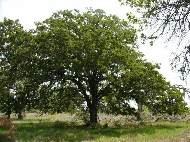 Lot 8H Granite RD