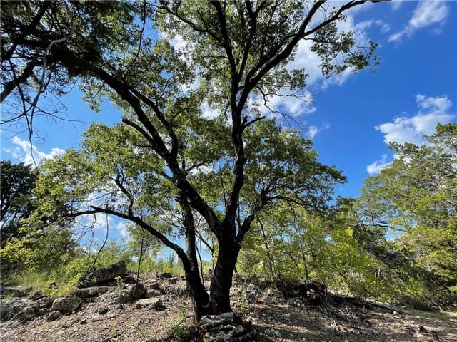 Lot 92 Harvey Ct