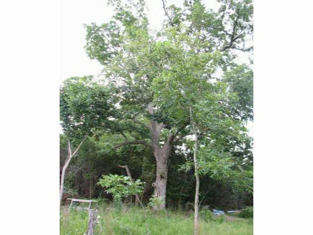 Lot28 Arrowhead DR
