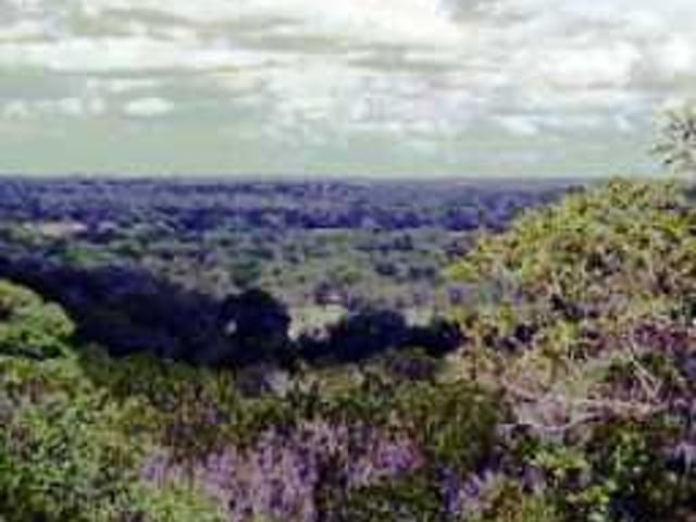 OLD BALDY TRL