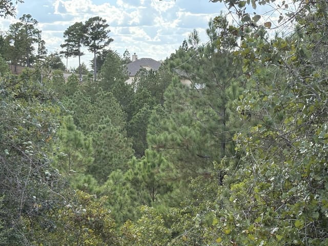 TBD Lot 35 Pinecrest Dr
