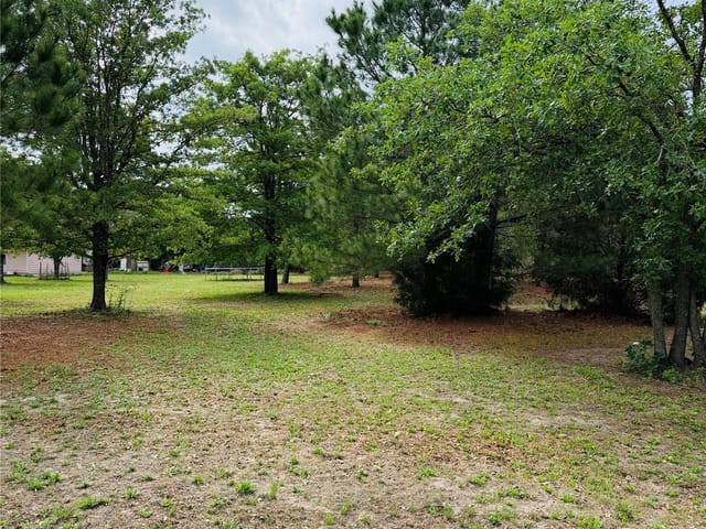 TBD Buckhorn Dr