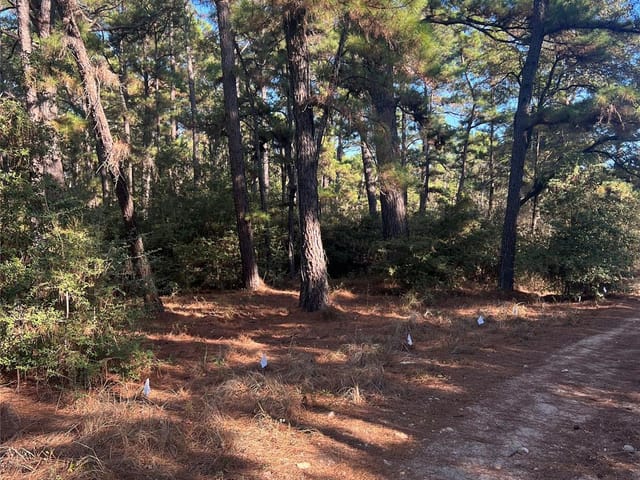 TBD Pine Lodge Dr