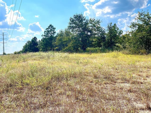 TBD Ponderosa Loop