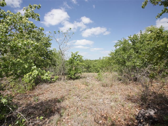 TBD River Forest Dr