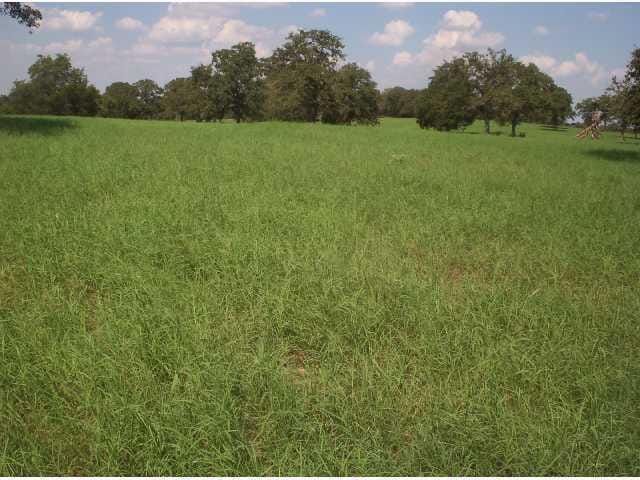 TBD STOCKADE RANCH RD