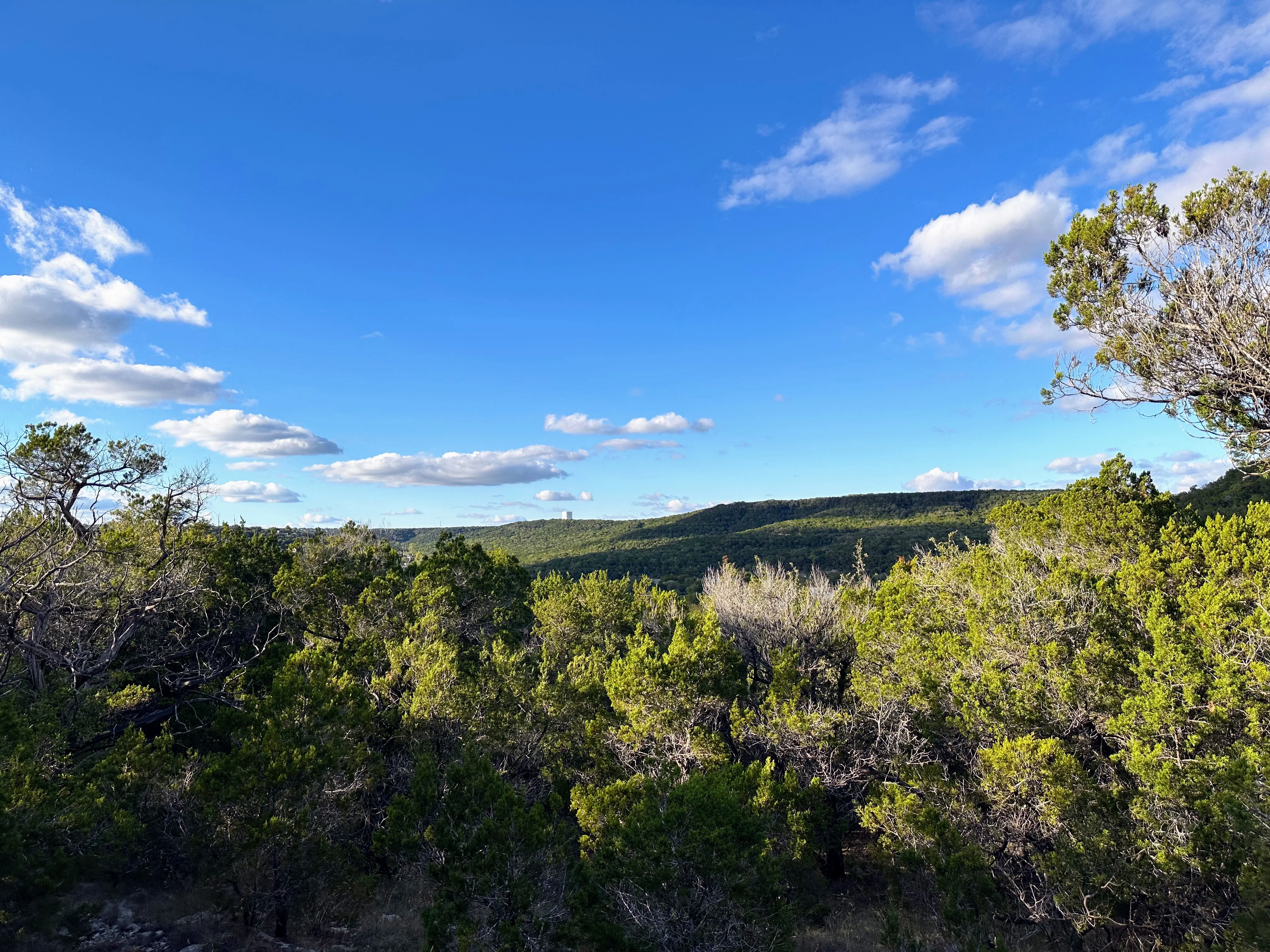 Bull Creek
Preserve view from Sevan Drive Northwest Hills Austin