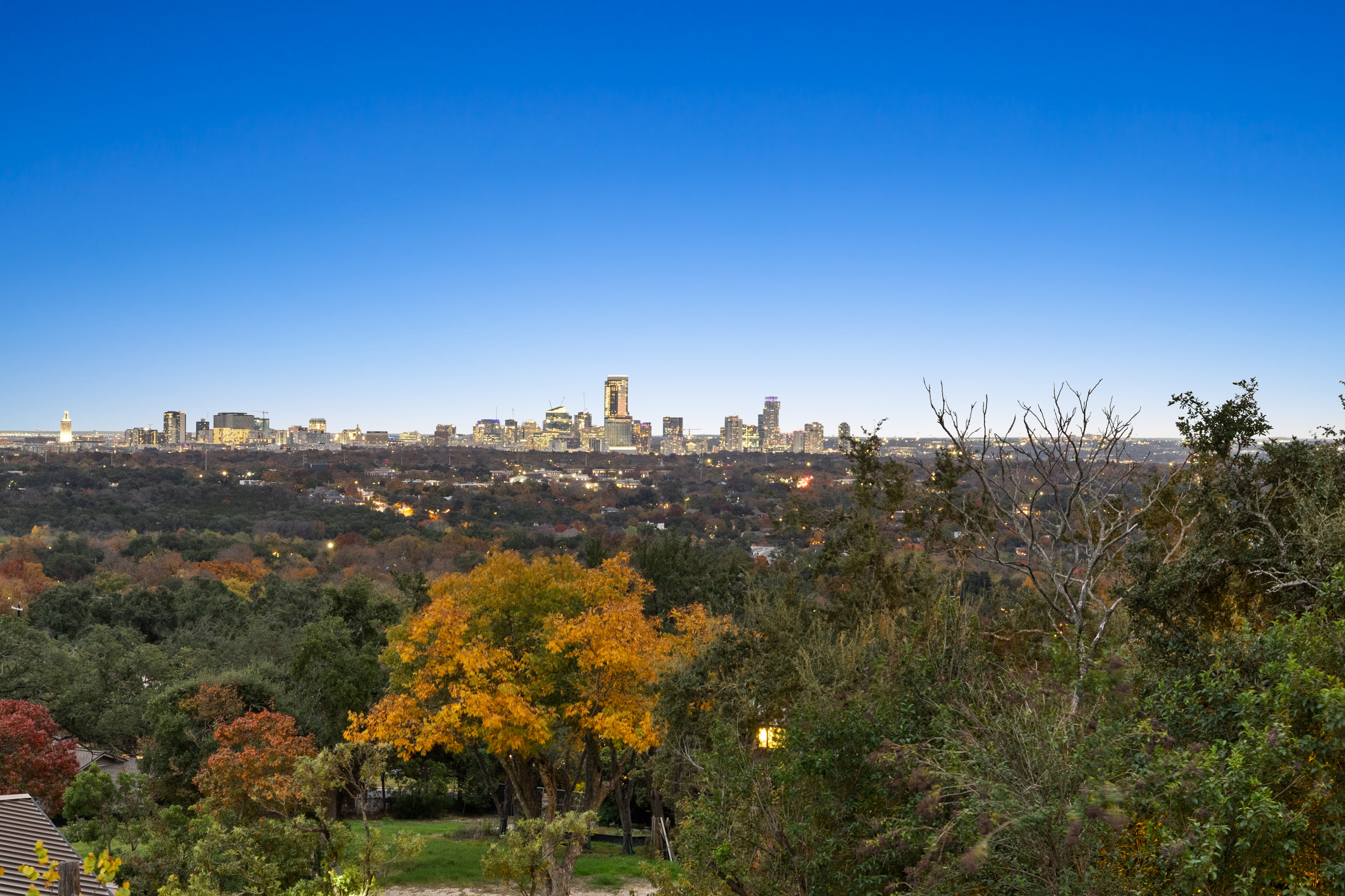 Acoustic wood ceiling panel detail in living room