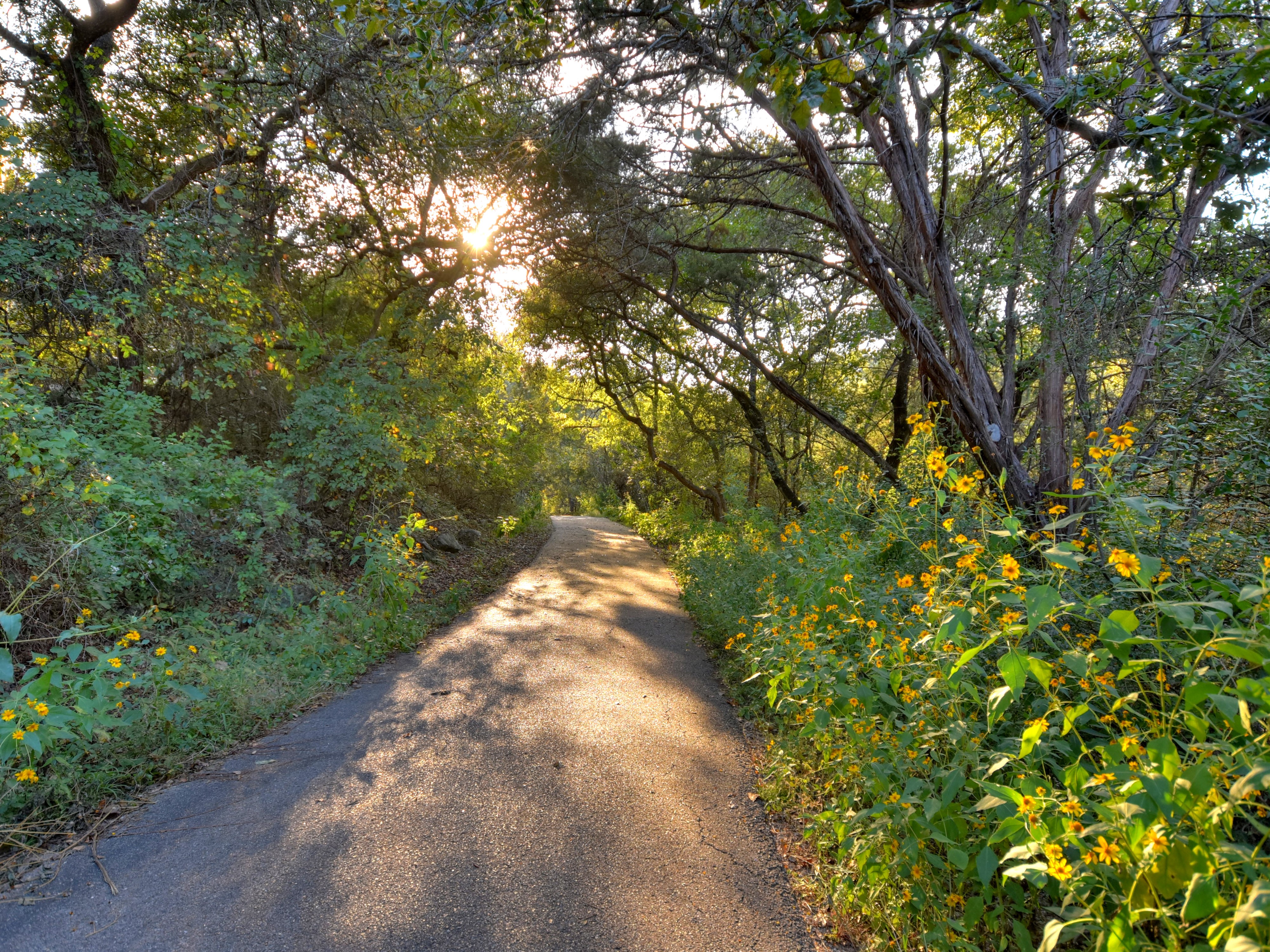 Walking trail through live oaks and wildflowers to water access