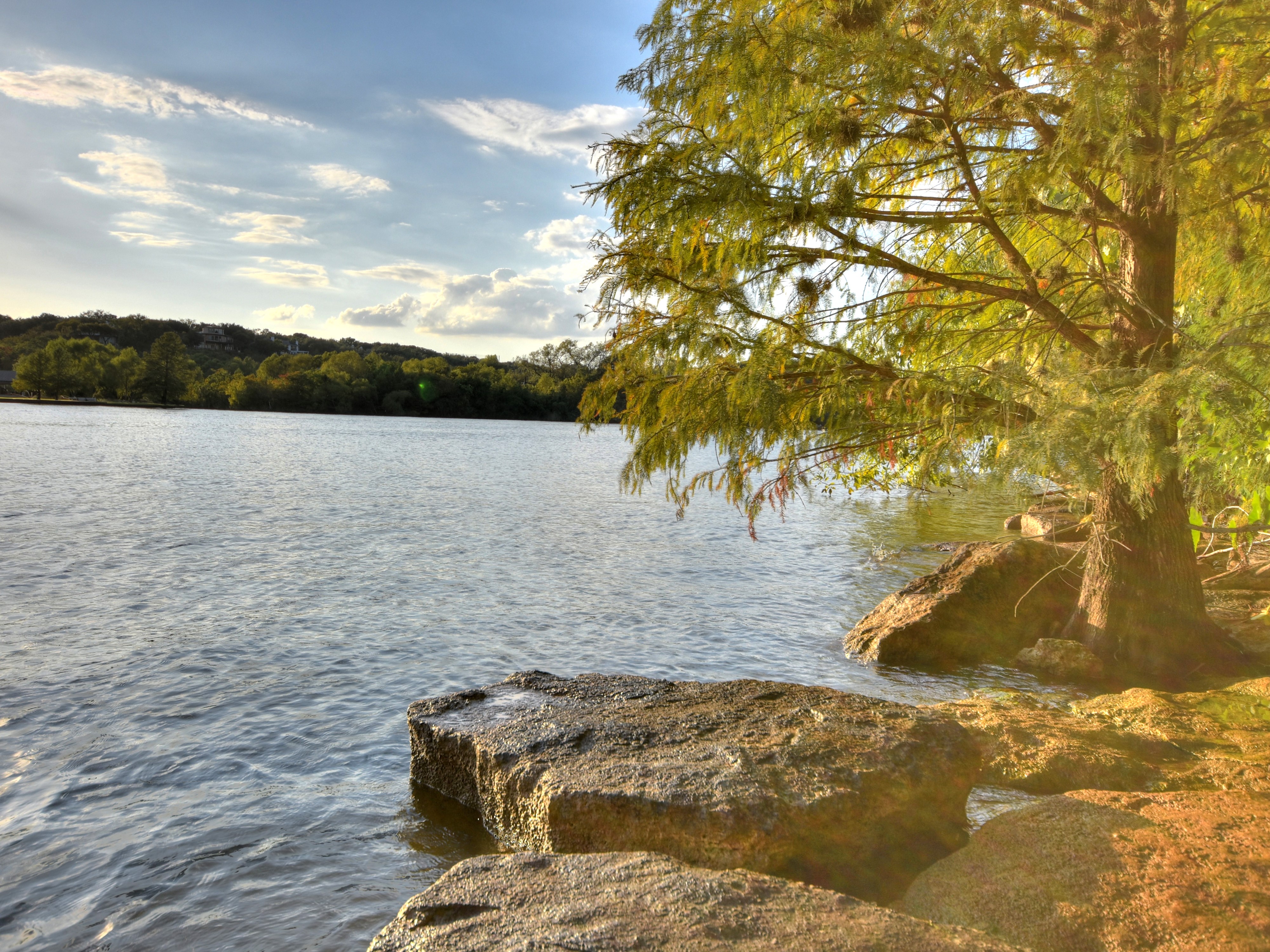 Calm waterfront with tree-lined shore and dock