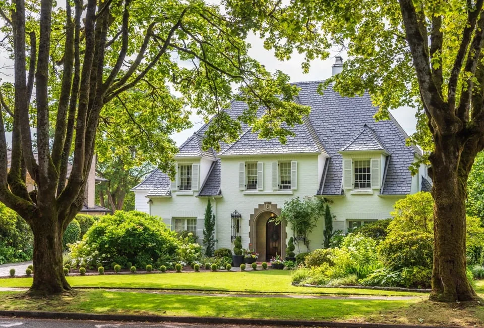 Tree-lined street in Tarrytown with established homes
