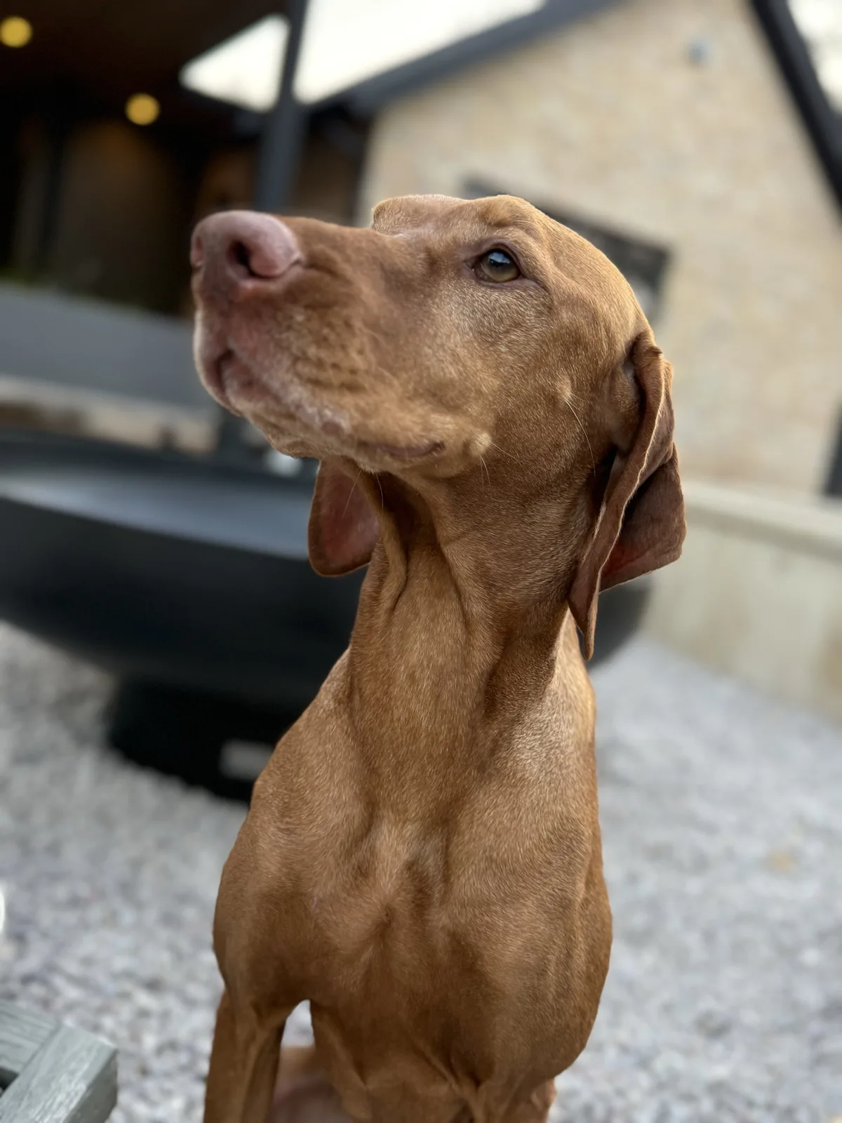 Scout, Head of Happiness at Keenan Group
