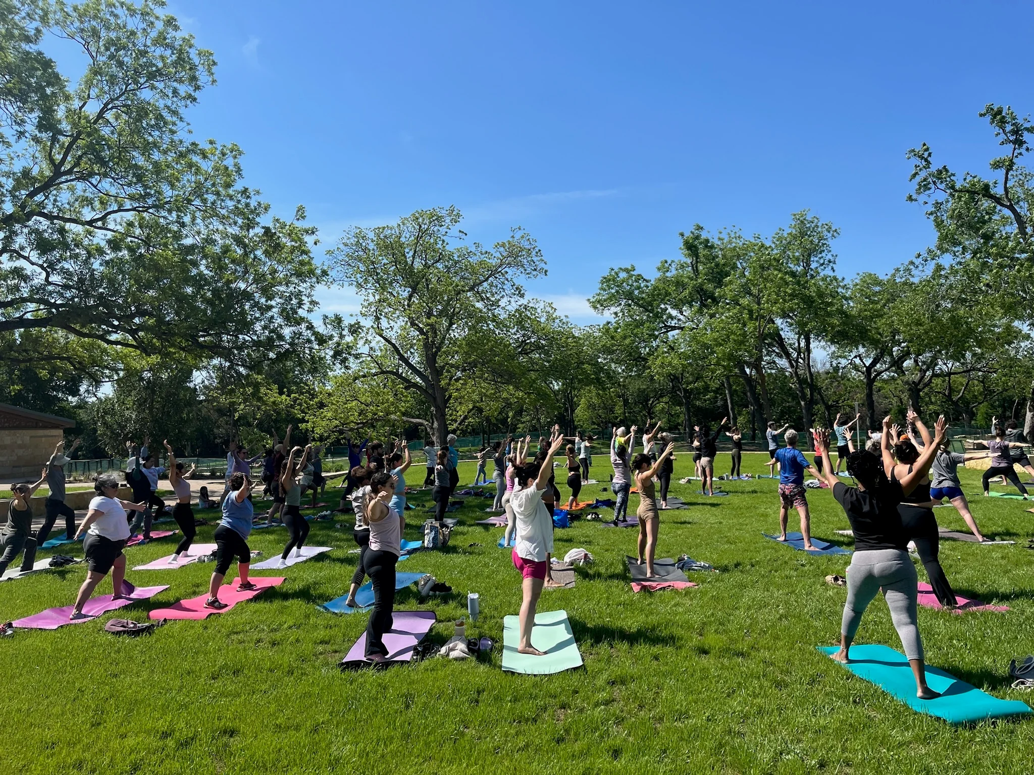 People practicing yoga on mats in a park.
