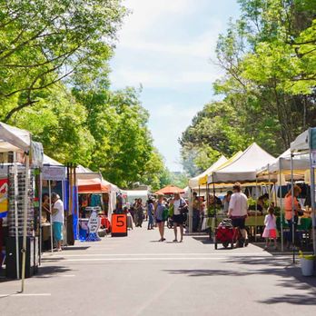 Market tents beneath trees.