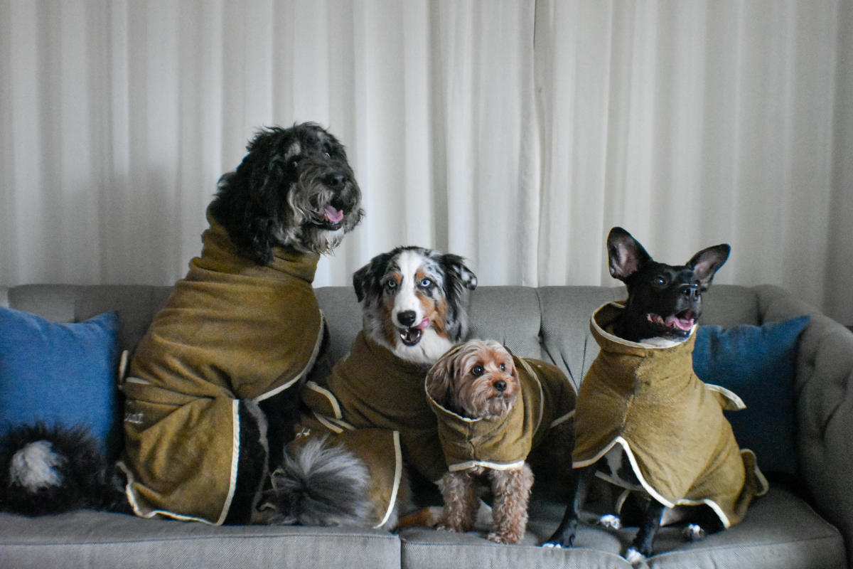 Newsletter image accompanying Bark & Brats.