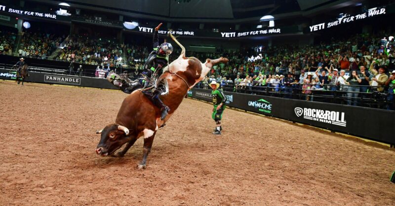 Newsletter image accompanying PBR Gambler Days.