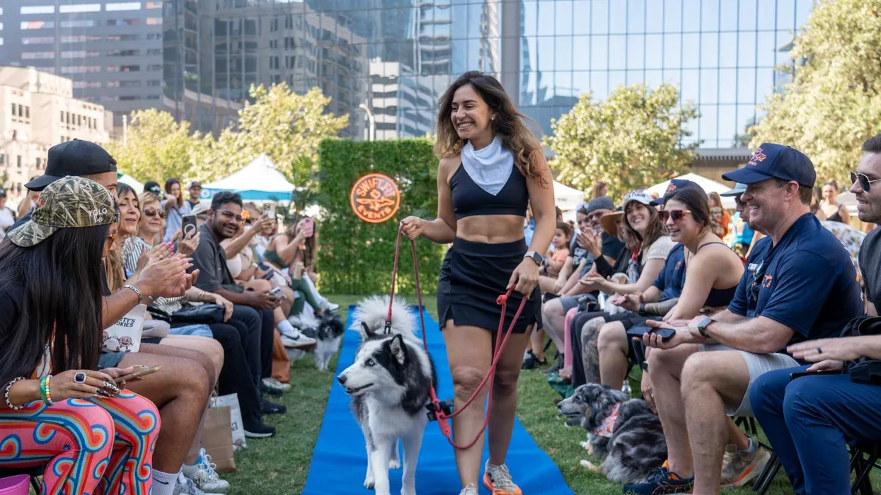 A woman walks a husky down a blue runway past a seated crowd at an outdoor dog event.